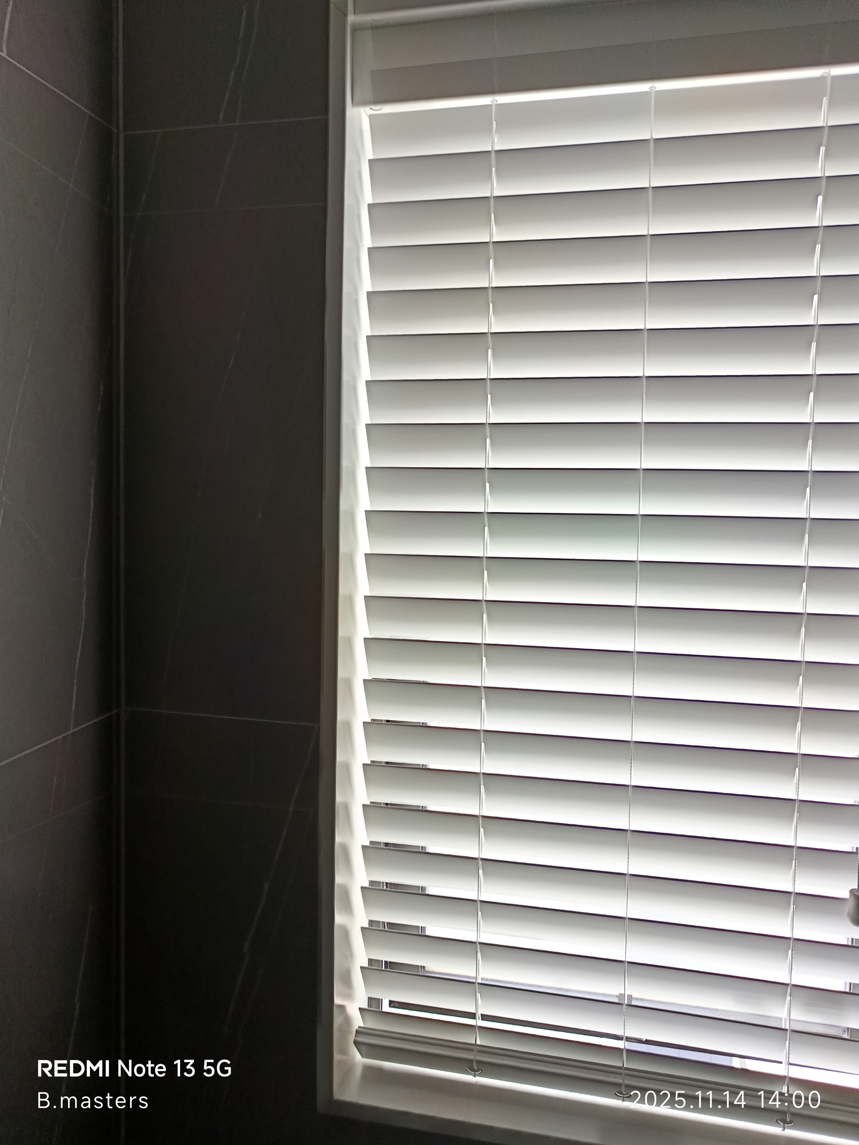 venitian Blinds 2